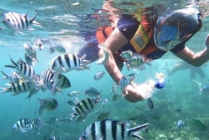 Lombok: Privat snorkling på Gili Nanggu, Sudak och Gili Kedis
