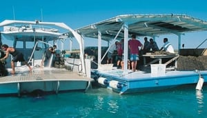 Autore Pearl Farm Tours
