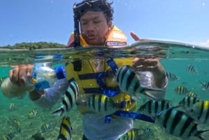 Explore and snorkeling Gili Nanggu Secret Island
