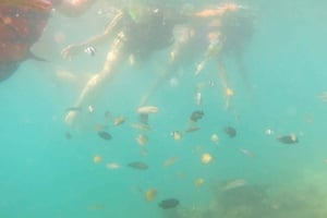 From Lombok: Southern Gilis Private Snorkelling Day Trip
