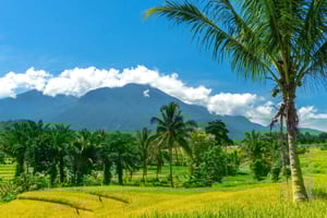 Genggelang vattenfall Eco-Adventure vandring i norra Lombok