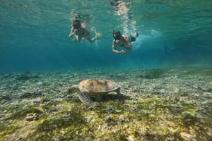 Gili Air: Small-Group Snorkeling Tour with GoPro