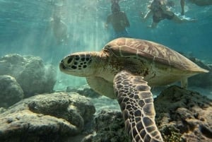 Gili Island Snorkeling: Gili Trawangan, Meno And Air