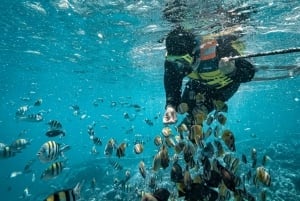 Excursion de plongée avec tuba dans les îles Gili cachées au nord-est de Lombok