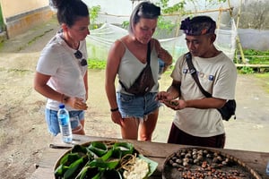 Lombok: experiencia cafetera, terrazas de arroz y cascadas