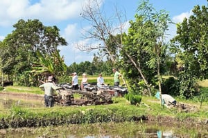 Lombok: Offroad-ATV-Fahrt, Dschungelwanderung und Wasserfallausflug
