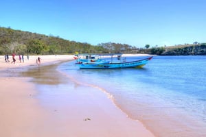 Exclusive Private Pink Beach with Snorkeling Tour