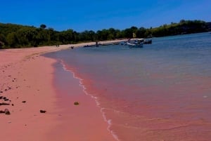 Lombok: Snorkeltrip naar roze strand