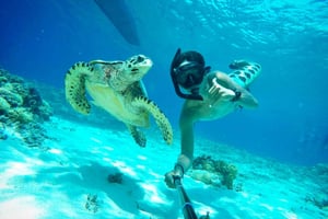 Lombok: Private Snorkeling,Gili Trawangan,Gili Meno,Gili Air