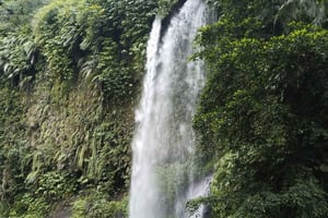 Lombok: Reis-Terrassenfeld & Senaru-Wasserfälle geführte Tour