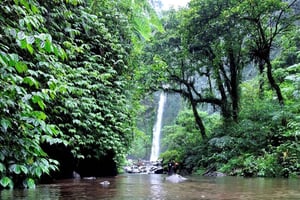 Lombok: la cascada Sekeper, una joya oculta y la más alta