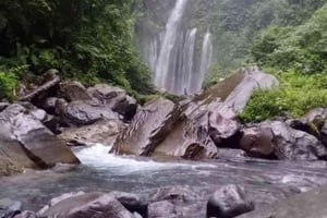 Lombok: Sendang Gila og Tiu Kelep-vannfallsturen