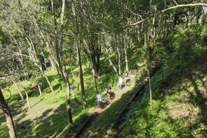 Lombok: Tetebatu-Wanderung, Wasserfall, Affenwald & Kochen