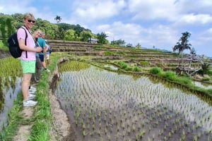 Wodospady Lombok i Bukit Selong – wycieczka prywatna
