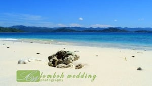 Lombok Bryllupsfotografering