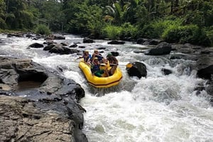 Lombok : rafting en eaux vives, rizières en terrasses et cascade