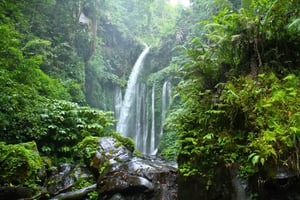 North Lombok: Sendang Gile Waterfall & Senaru Village Tour