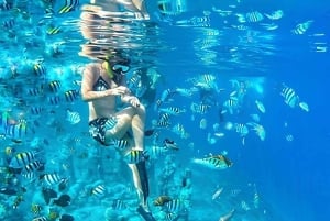 Private Snorkeling Gili 4 Spots Swim with Turtles Free GoPro