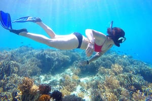 Лес обезьян Пусук на Ломбоке, вилла-призрак и три Гили