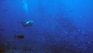 Reef Seekers Dive Centre