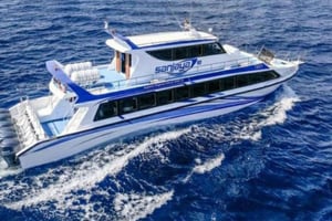 Sanur: Ticket Fast Boat from/to Sanur Nusa Penida