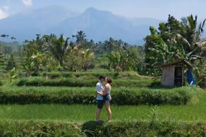 Tetebatu: Spacer po tarasie ryżowym, wodospad i Czarny Mongky