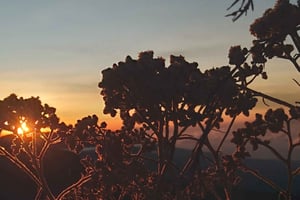 Trekking på bjerget Sangkareang (Tetebatu-kraterets kant) 2 dage/1 nat