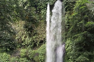 Omvisning i Lombok safari- og dyrepark, landsby og fossefall