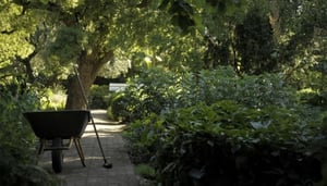 Chelsea Physic Garden