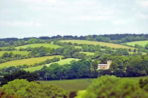 Chilterns: All inclusive Vineyard Tour with Tastings & Lunch