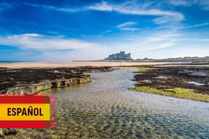 Эдинбург: экскурсия по следам Гарри Поттера и английским замкам на испанском языке