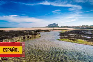 Эдинбург: экскурсия по следам Гарри Поттера и английским замкам на испанском языке