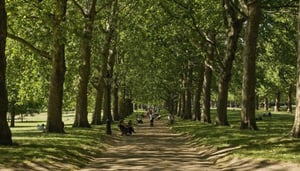Green Park