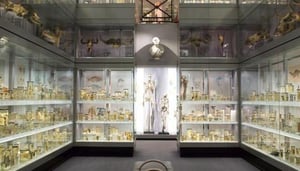 Hunterian Museum