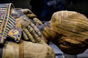 London: British Museum + guidad tur + prioritetsingång