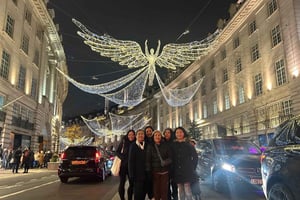London: Christmas Lights Black Cab Tour mit Abholung vom Hotel