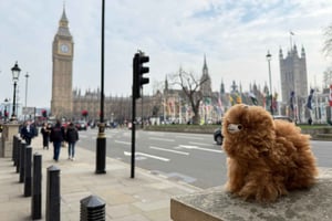 London: Privat guidet tur i National Gallery
