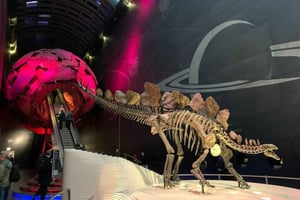 Londen: Natural History Museum privétour & Skip the line