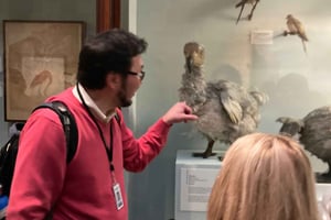 Musée d'histoire naturelle de Londres : visite privative avec un expert
