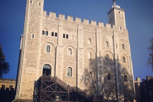 Londen: Sightseeingtour met privéchauffeur