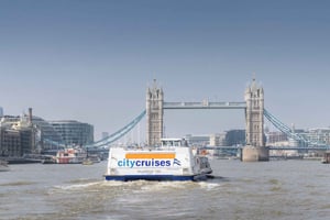 London: River Thames Hop-On Hop-Off Sightseeing Cruise