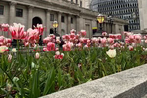 London - en promenad Rundvandring i det hemliga kvarteret Square Mile