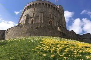 London: Windsor Castle Private Tour med hoteltransfer