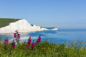 Fra London: Seven Sisters og Brighton heldagstur