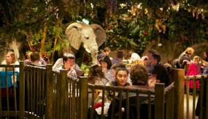 The Rainforest Cafe
