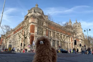 Visita guiada privada al Museo Victoria and Albert