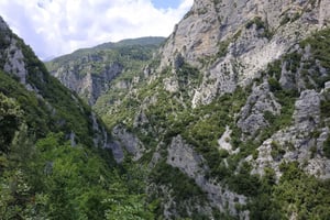 Pieria: Guided Hiking Tour in Enipeas Gorge of Mount Olympus
