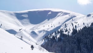 Mountain Resort Ko?uf