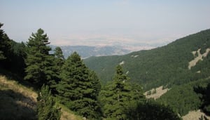 Pelister National Park