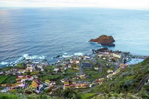 Câmara de Lobos, Pico da Torre, and Porto Moniz Tour